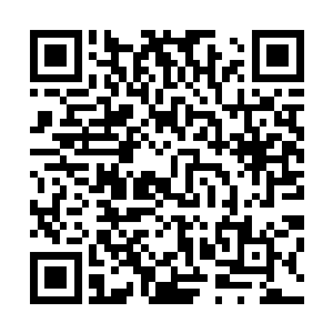 正是这种极为亲切的气息令她凄苦的灵魂感觉到了一丝安慰二维码生成