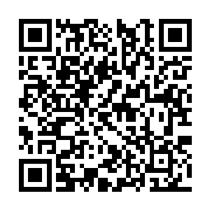 正是连选手服都没来得及换全身还是汗津津的南南二维码生成