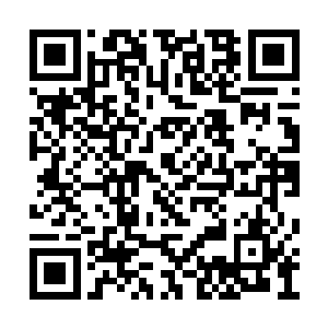 正是通过此前在仙灵城中领悟的金之碎空指奥义二维码生成