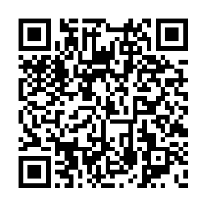 正是那东西化作九根透明长针扎入了师妃暄体内二维码生成