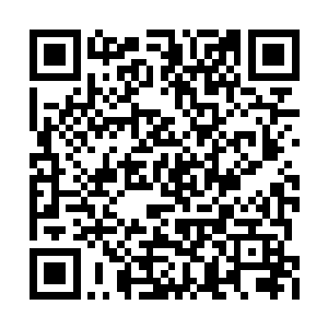 正是那天他和林冰冰在咖啡馆见到的那个岛国人二维码生成