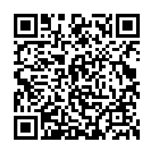 正是那次在校门口被他狠狠的虐了一把的李子杰二维码生成