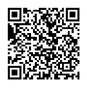 正是那王宝宝的妻子马容儿和横刀夺爱的经纪人宋吉二维码生成