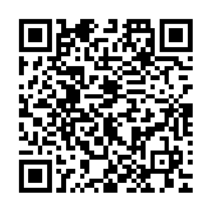 正是那祝龙在天洲大陆某处遗迹中寻得的罕见虫卵孵化而来的二维码生成