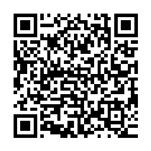 正是野猪从武亲王钱震的未亡墓当中拿出来的那一面古篆山河盾二维码生成