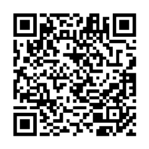 正是靠着那一块一人高的无暇神玉修炼成了命运主宰二维码生成