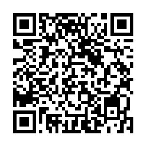 正气门走出来的是上次那个和秦洛比拼诊脉的帅气小胡子二维码生成