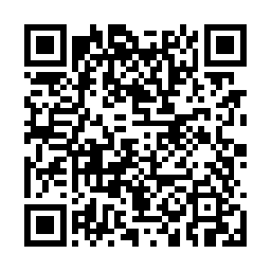 正法明如来与那地藏王静悄悄地落到了一片山坡上二维码生成