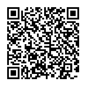 正满脸怒容的朝着躺在地上的一名老者和老者旁边的一名清秀少年喝道二维码生成