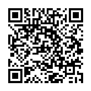 正盘膝坐在水潭边上静静的注视着在水潭中游荡的鱼群二维码生成