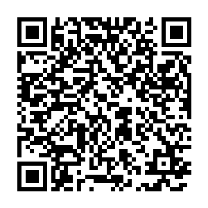 正直人生精力和事业巅峰的麻生沙树正襟危坐地看着千地煮着茶水二维码生成