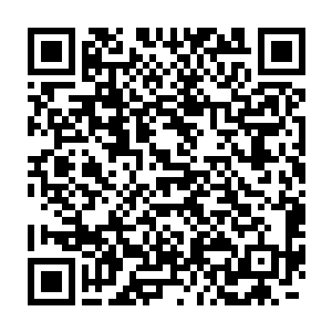 正端着第二个面盆在努力挑里面冻面的魏厨子抬头理所当然的看着山神二维码生成