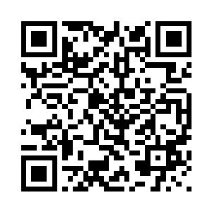 正统岚家重新注入东岚和司璐威尔二维码生成