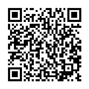 正要去找范子衿商量事情的户部尚书看到他急匆匆的往外走二维码生成