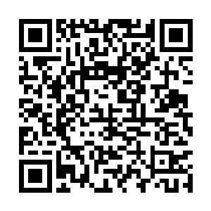 正要吩咐众人驾驶猎海神舟和乌云战舟登陆鳄蛟岛二维码生成