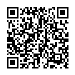 正要抬手御回南华刀教训这丧心病狂的北凉小蛮子二维码生成