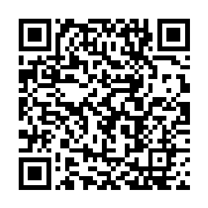 正见一面庞大的赤色火焰雄狮相势出现在了他的身后二维码生成