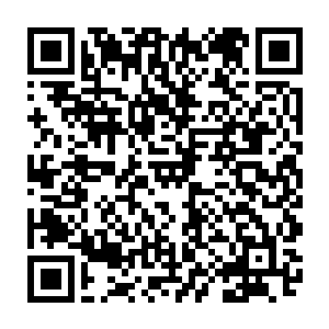 正认真在一尊散发着奇特温暖气息的巨大丹鼎面前做事的雪屿突然动作一顿二维码生成