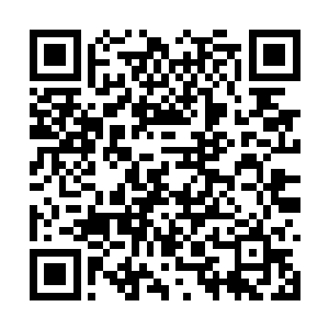 正趴在机舱门边拍摄的刘新妃回头好奇的问了一声二维码生成