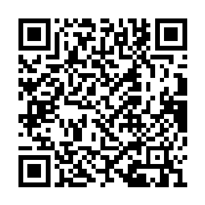 正道成员和妖元宫其他弟子的战斗也拉开了帷幕二维码生成