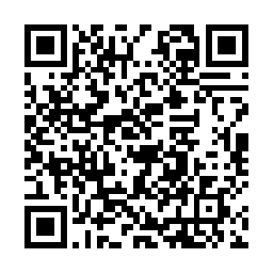 正邪之分――只要他们共同组成一条足够平衡的食物链二维码生成