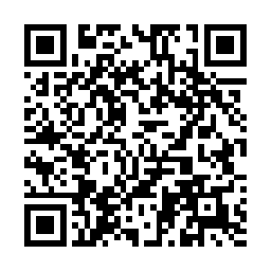 正闲逛到这边的苏酥正想着竟然还有蠢货跟这老骗子算卦二维码生成