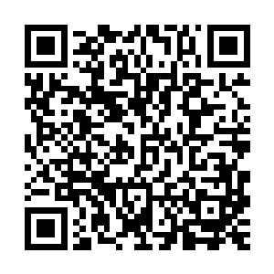 此举让中医发展飞跃二十年――可能现在的成果还没有显现出来二维码生成