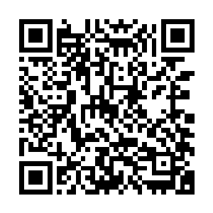 此乃云蒙县当地的布告以及云梦知县亲笔亲笔所书公文及卷宗二维码生成