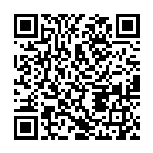 此乃大名鼎鼎的九品符师采集蕴含神通的天材地宝炼制二维码生成