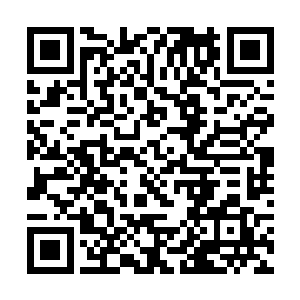 此人便是麒麟族使者口中所说的上古龙族顶尖天才了二维码生成