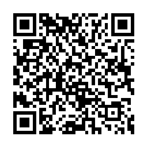 此人就是天网公司史艳红麾下的一名得力的线人二维码生成