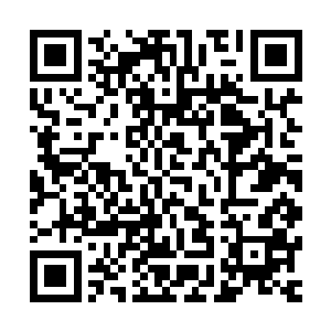 此人有幸在血色城门关大蛇无双中得到了服部半藏本人的指点二维码生成