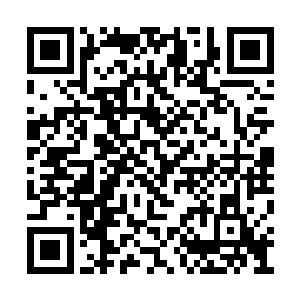 此人正是他昨天就派出宗门的五个种子弟子之一二维码生成