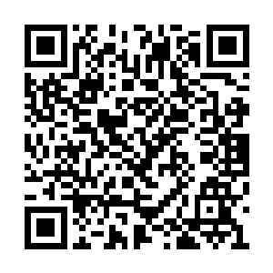 此人正是号称楚南地域第一金丹真人的虎禅真人二维码生成