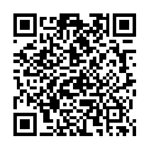 此人的炼丹水平应该不差于青洲丹师工会的童春二维码生成