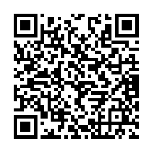 此人自然就是沈佳佳特意请来的电影红星罗绮香了二维码生成