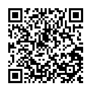 此儿那名带头少年忍受着拳头之上的疼痛对着那名少年说道二维码生成