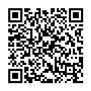 此刻一道道空间裂缝也是出现在了那雷虎和雷鸟的面前二维码生成