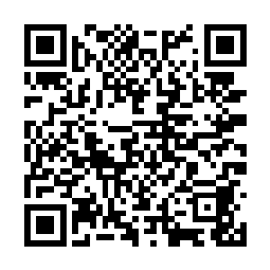 此刻东方世家可以说老一辈的人全部都被长老所害二维码生成
