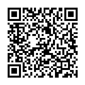 此刻东方浩然拖着东方未然的尸体冷冷的朝着众人看去二维码生成