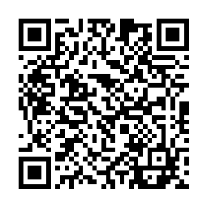 此刻之间在苏凡身上的四肢的四个护套都丢在了地上二维码生成