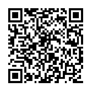 此刻之间苏凡的身子顿时便出现在了四人的面前二维码生成