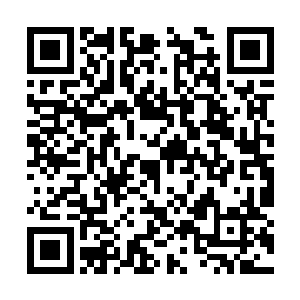 此刻乐萍儿肚子之中的鬼婴似乎暂时的停止了折腾二维码生成