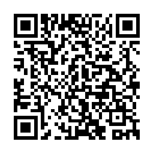 此刻也将注意力集中到萧晨和白无雪的战斗上面二维码生成