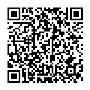 此刻也是凶悍无比的向着奇美拉的腹中钻了进去的……它是纯精神体二维码生成