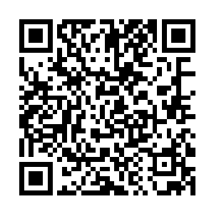 此刻也是在万般无奈的情况下才第一次动用因果之术二维码生成