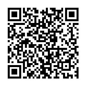 此刻也是快速的将黄金蟒蛇扫到一边的木材快速的聚集在了一起二维码生成