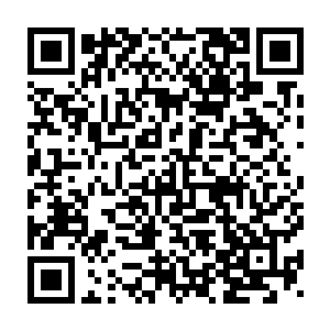 此刻也是没有丝毫的退缩捏紧着拳头悍然的朝着苏凡的拳头迎了上去二维码生成