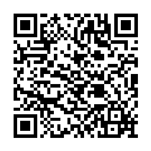 此刻二三四小队将身上的棉布仔细的检查了一番二维码生成