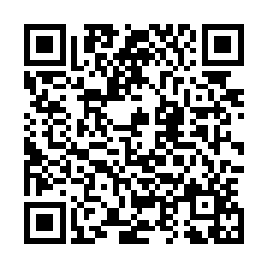 此刻他们终于明白景阳王这爱花成痴的名声真的不是吹嘘的二维码生成